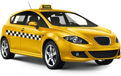 Car Rental